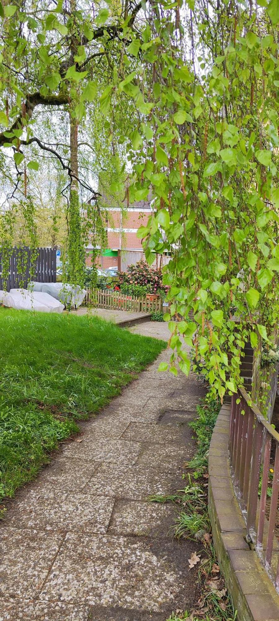 סולטאו Ferienwohnung Im Herzen Der Lueneburger Heide מראה חיצוני תמונה